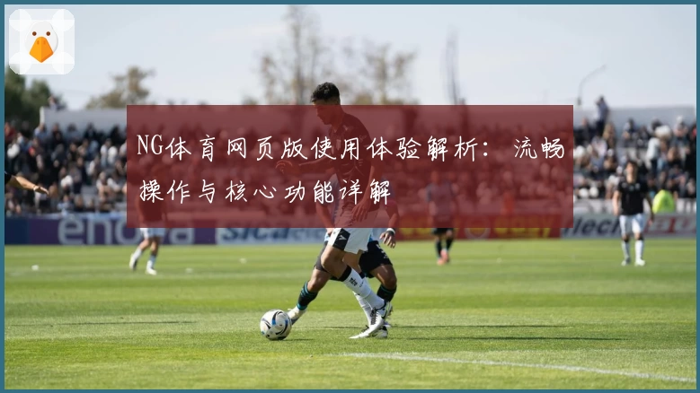 NG体育网页版使用体验解析：流畅操作与核心功能详解